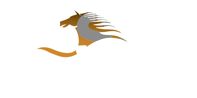 Belhasa Global Exchange