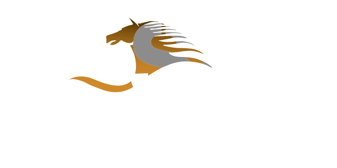 Wasel General Trading