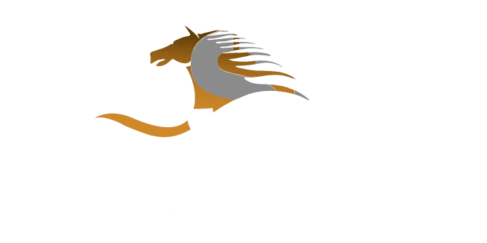 Belhasa Advanced Motorist
