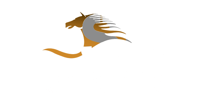 Wasel Vehicles Testing