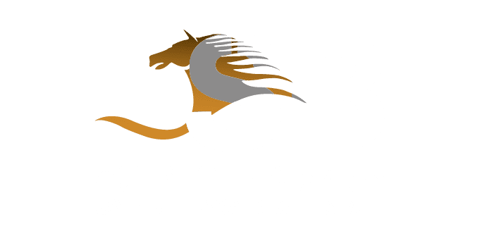 Saif Belhasa Real Estate