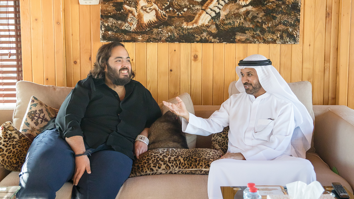 Saif Belhasa Holding commercial sectors
